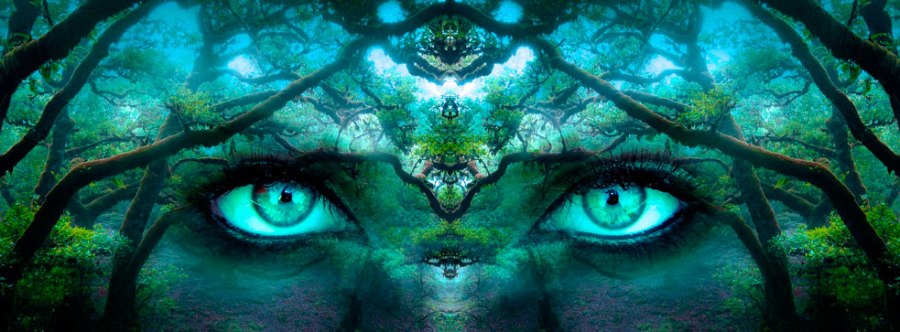 Volver a verte en mis sueños