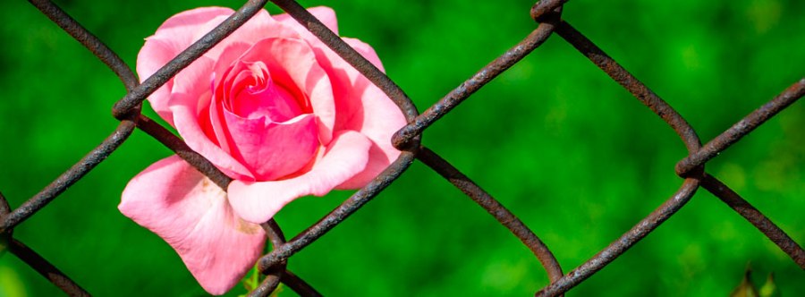 Sexto día de epidemia de coronavirus: mi abatido trayecto al supermercado