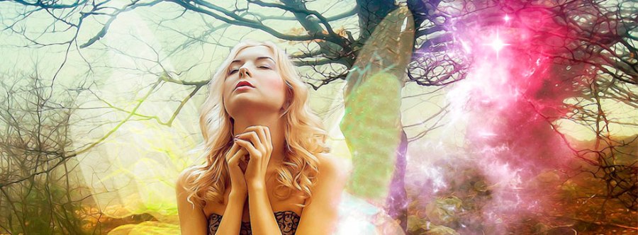 El hada de los sueños mágicos